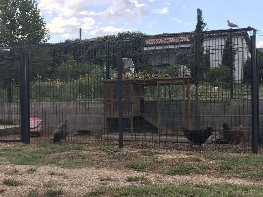 Cocon Aux Portes Des Cevennes Avec Piscine Moules-et-Baucels Luaran gambar
